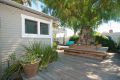 Backyard deck, view of pepper tree with bench seating around it
